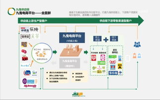 九曳供应链获数亿C轮融资 百人IT团队如何为新消费品牌赋能